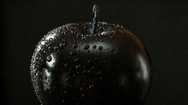 pomme noire du Tibet