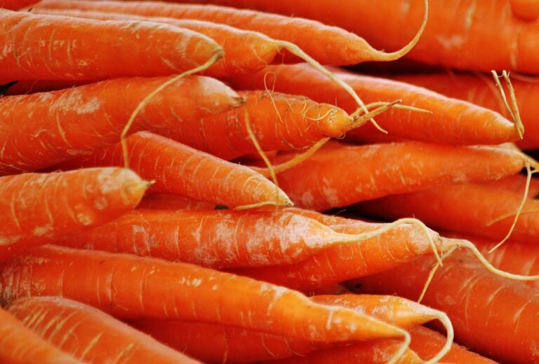 fanes de carottes