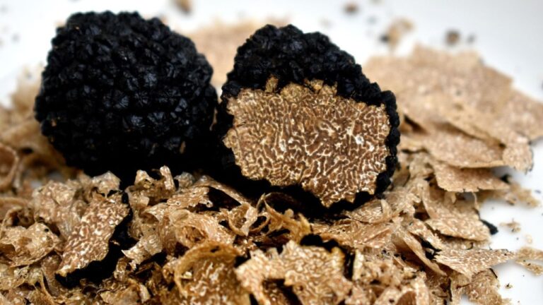 Truffes