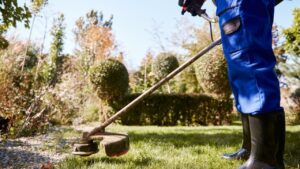 Prix d’un débroussaillage