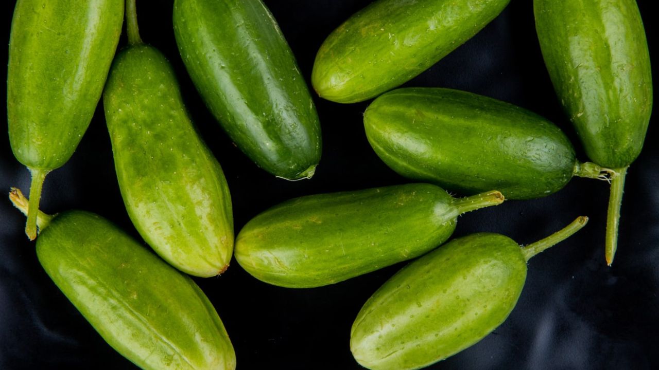 Concombres deviennent jaunes