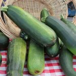 Courgette trop grosse