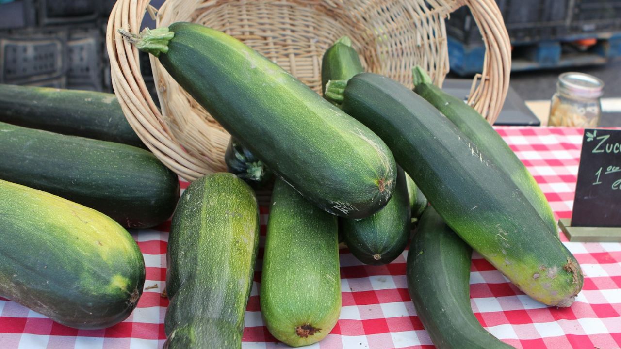 Courgette trop grosse