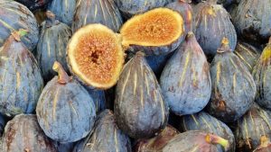 Saison des figues en France