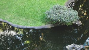 Créer un étang de moins de 1000 m²