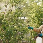 Dosage du glyphosate pour 5 L d’eau
