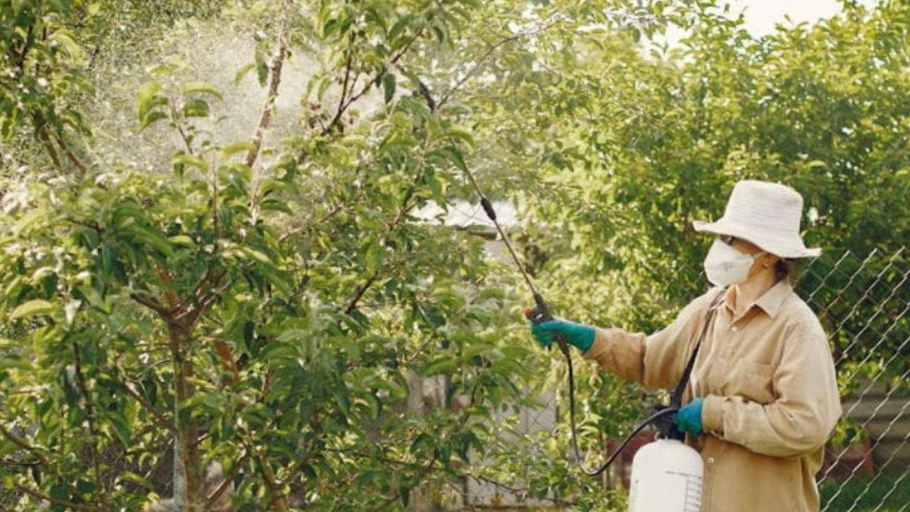 Dosage du glyphosate pour 5 L d’eau