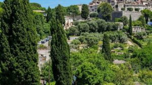 Différence entre le cyprès de Florence et le cyprès de Provence